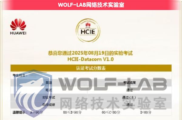 HCIE 2 (1).jpg