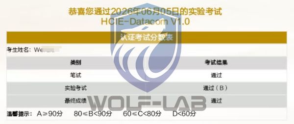 HCIE3 (5).jpg